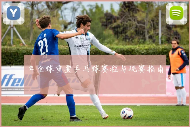 年全球重要乒乓球赛程与观赛指南