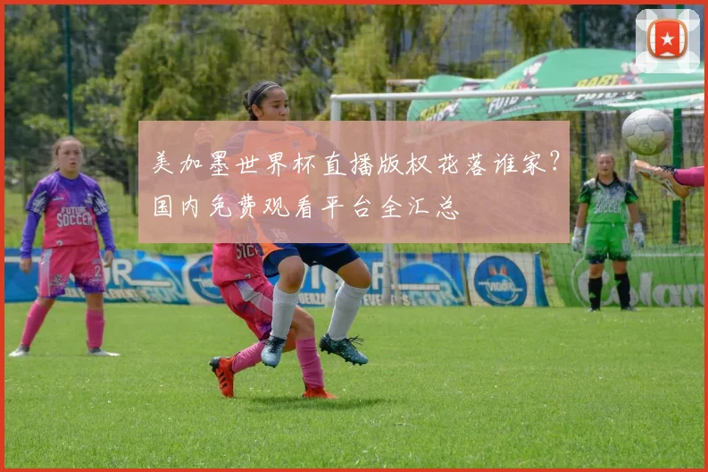 美加墨世界杯直播版权花落谁家？国内免费观看平台全汇总