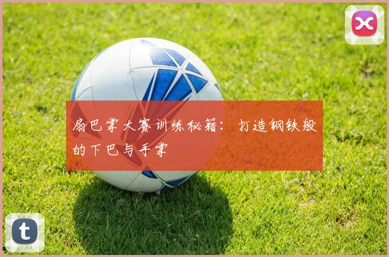扇巴掌大赛训练秘籍：打造钢铁般的下巴与手掌
