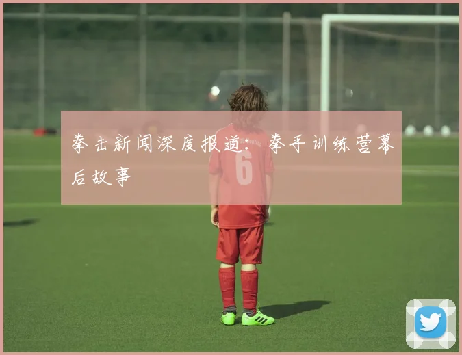 拳击新闻深度报道：拳手训练营幕后故事